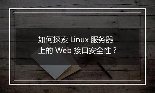 如何探索 Linux 服务器上的 Web 接口安全性?