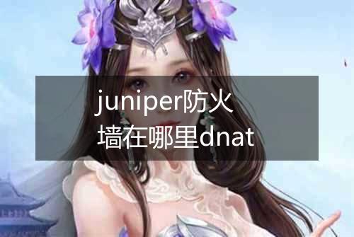 juniper防火墙在哪里dnat