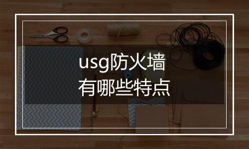 usg防火墙有哪些特点