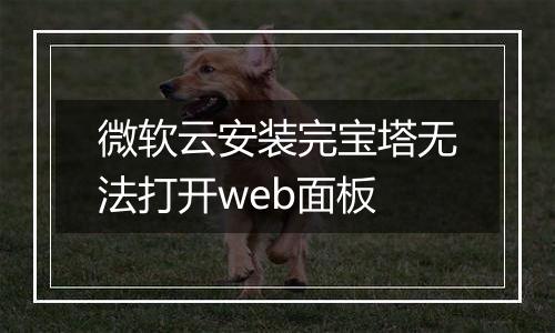 微软云安装完宝塔无法打开web面板