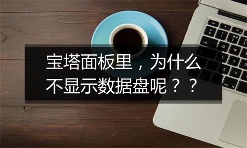 宝塔面板里，为什么不显示数据盘呢？？