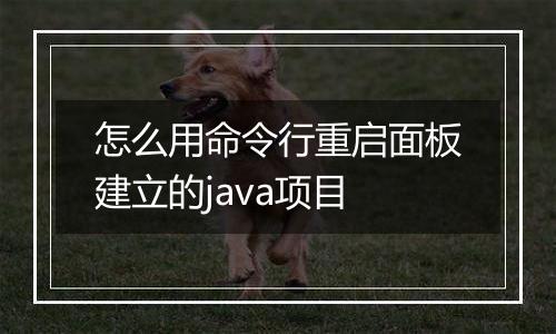 怎么用命令行重启面板建立的java项目