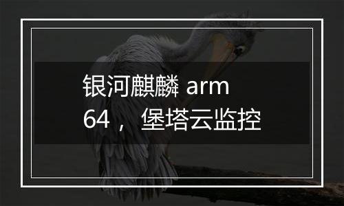银河麒麟 arm 64, 堡塔云监控