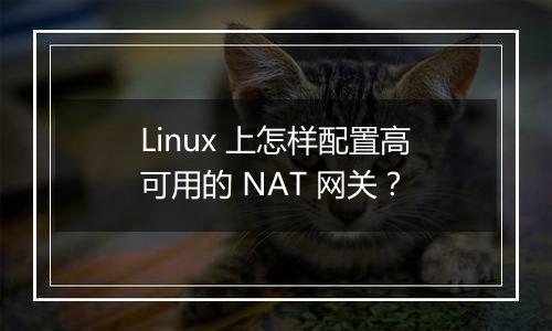 Linux 上怎样配置高可用的 NAT 网关?