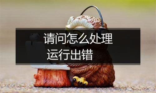 请问怎么处理 运行出错