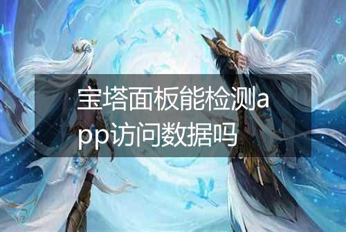 宝塔面板能检测app访问数据吗