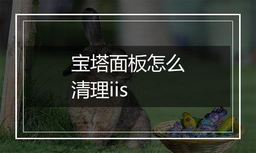 宝塔面板怎么清理iis