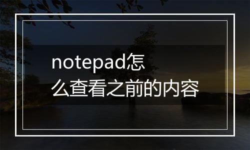 notepad怎么查看之前的内容