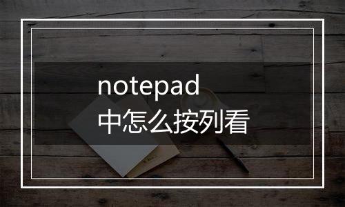 notepad中怎么按列看