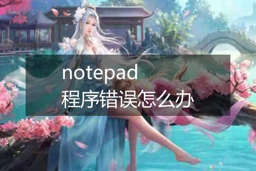 notepad程序错误怎么办
