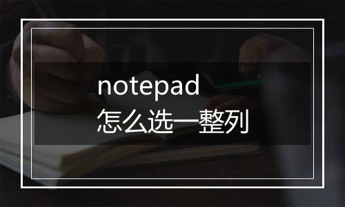 notepad怎么选一整列