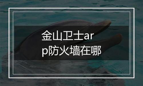 金山卫士arp防火墙在哪