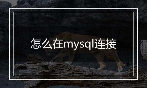 怎么在mysql连接