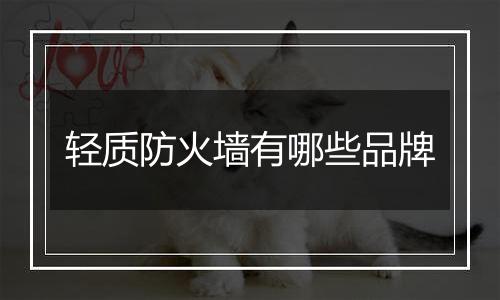轻质防火墙有哪些品牌