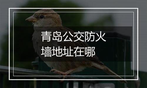 青岛公交防火墙地址在哪