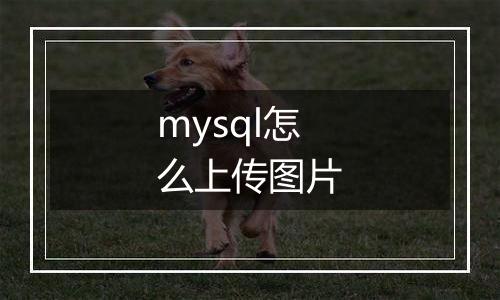 mysql怎么上传图片