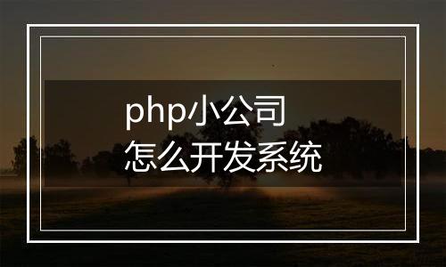 php小公司怎么开发系统