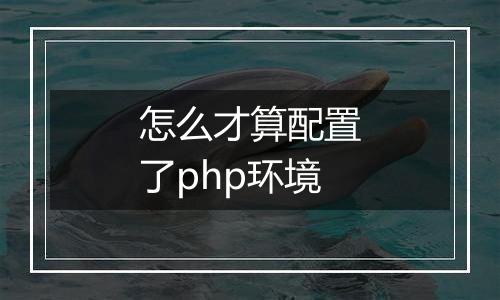 怎么才算配置了php环境
