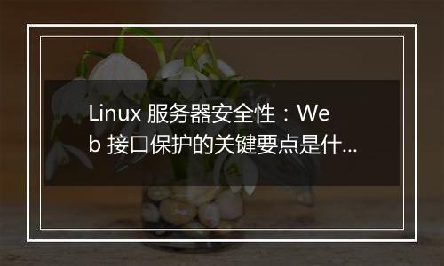Linux 服务器安全性:Web 接口保护的关键要点是什么?