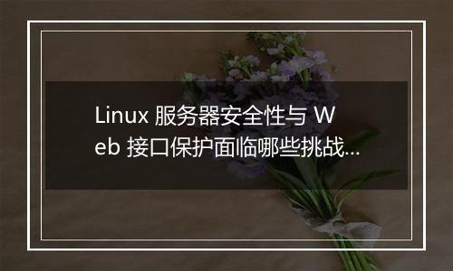 Linux 服务器安全性与 Web 接口保护面临哪些挑战?