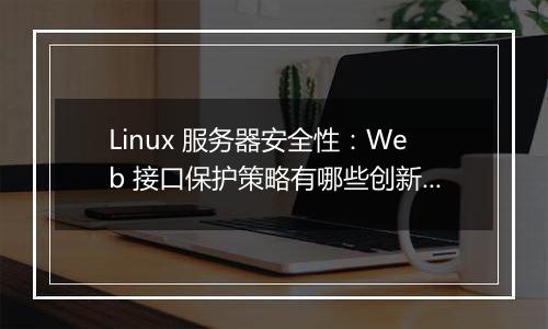 Linux 服务器安全性:Web 接口保护策略有哪些创新解决方案?
