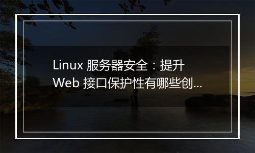 Linux 服务器安全:提升 Web 接口保护性有哪些创新方法?
