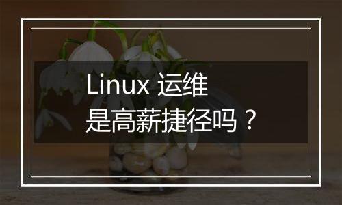 Linux 运维是高薪捷径吗？