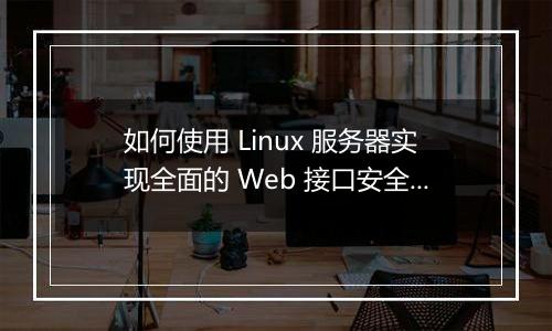 如何使用 Linux 服务器实现全面的 Web 接口安全性?