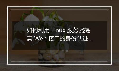 如何利用 Linux 服务器提高 Web 接口的身份认证安全性?