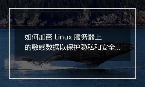 如何加密 Linux 服务器上的敏感数据以保护隐私和安全?