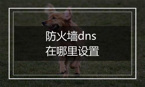 防火墙dns在哪里设置