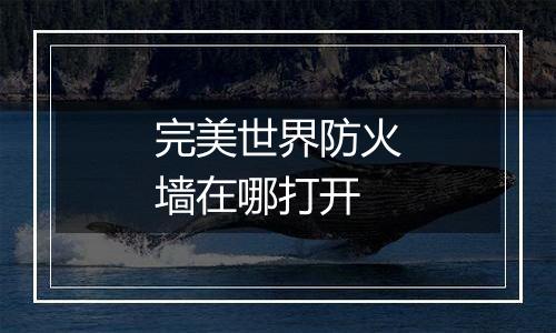 完美世界防火墙在哪打开