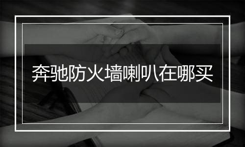 奔驰防火墙喇叭在哪买