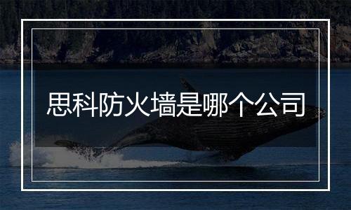 思科防火墙是哪个公司