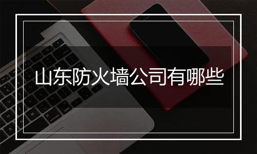 山东防火墙公司有哪些