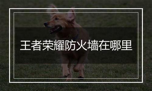 王者荣耀防火墙在哪里