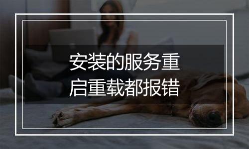 安装的服务重启重载都报错