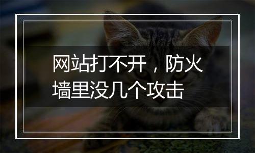 网站打不开，防火墙里没几个攻击