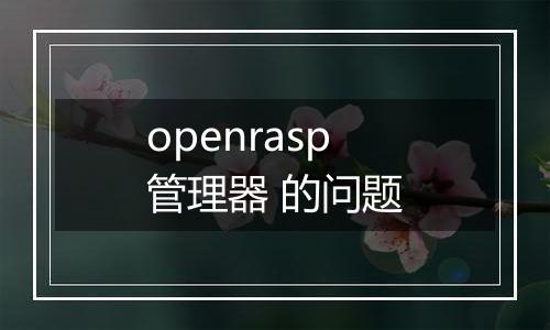openrasp管理器 的问题