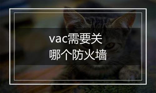 vac需要关哪个防火墙