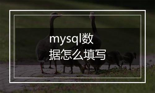 mysql数据怎么填写