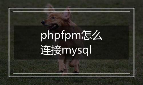phpfpm怎么连接mysql