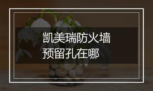 凯美瑞防火墙预留孔在哪