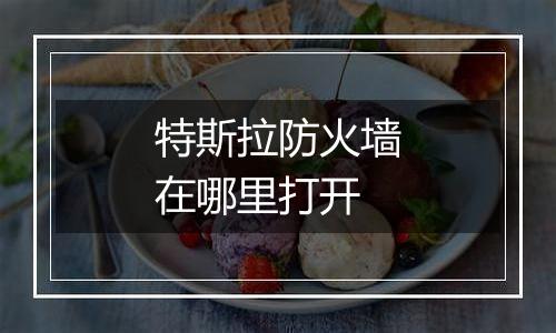 特斯拉防火墙在哪里打开