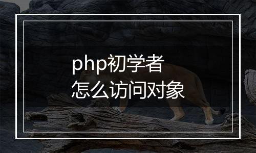 php初学者怎么访问对象