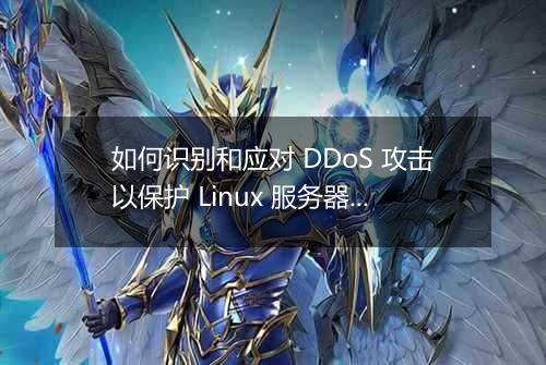 如何识别和应对 DDoS 攻击以保护 Linux 服务器?