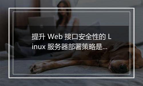 提升 Web 接口安全性的 Linux 服务器部署策略是什么?