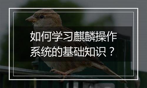 如何学习麒麟操作系统的基础知识?