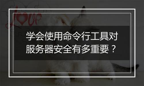学会使用命令行工具对服务器安全有多重要?