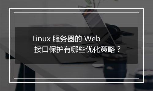 Linux 服务器的 Web 接口保护有哪些优化策略?